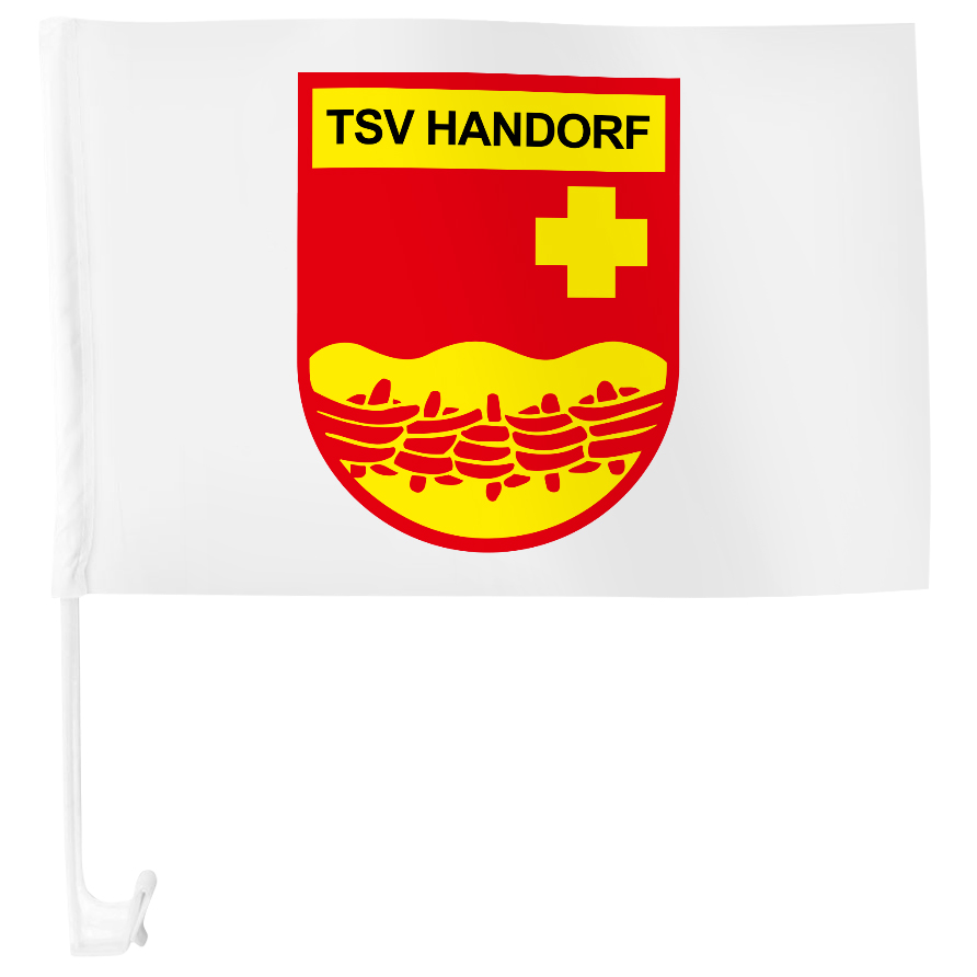 Autoflagge TSV Handorf
